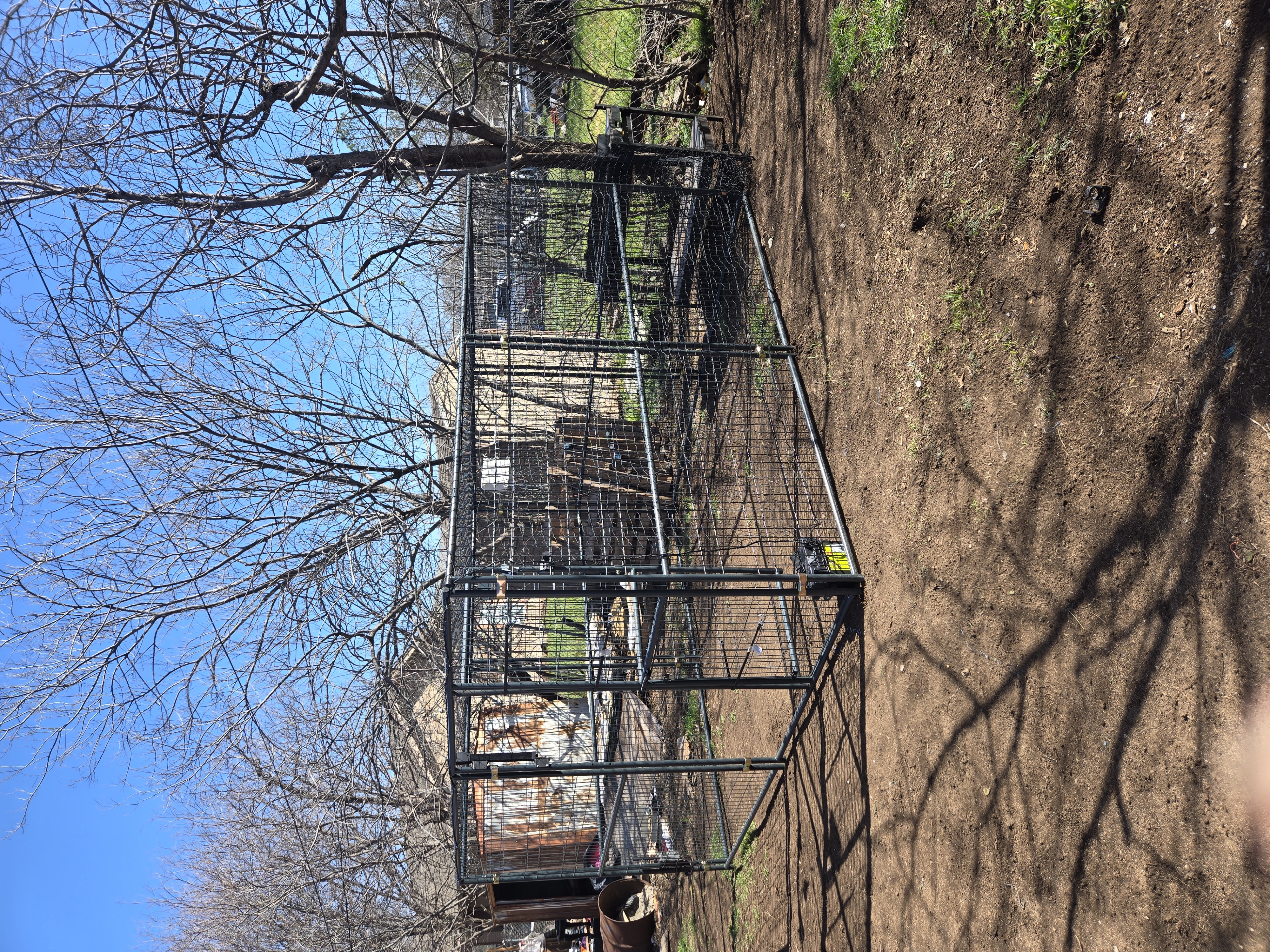 Large Missy Trap